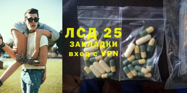ГАЛЛЮЦИНОГЕННЫЕ ГРИБЫ Краснослободск