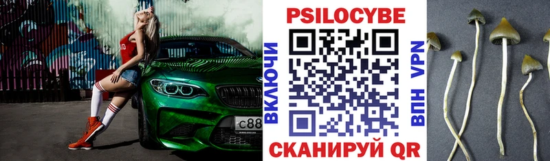 Псилоцибиновые грибы MAGIC MUSHROOMS  Купить закладки  Вятские Поляны 